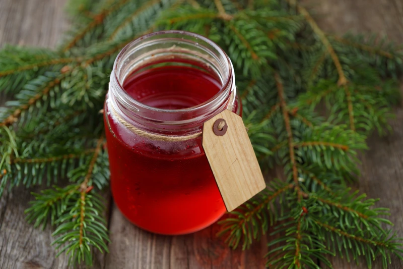 conseils pratiques pour embellir votre espace vert avec soin et creativite sapin