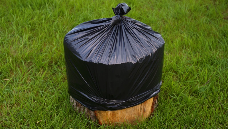 tuer racines arbre coupe etouffement
