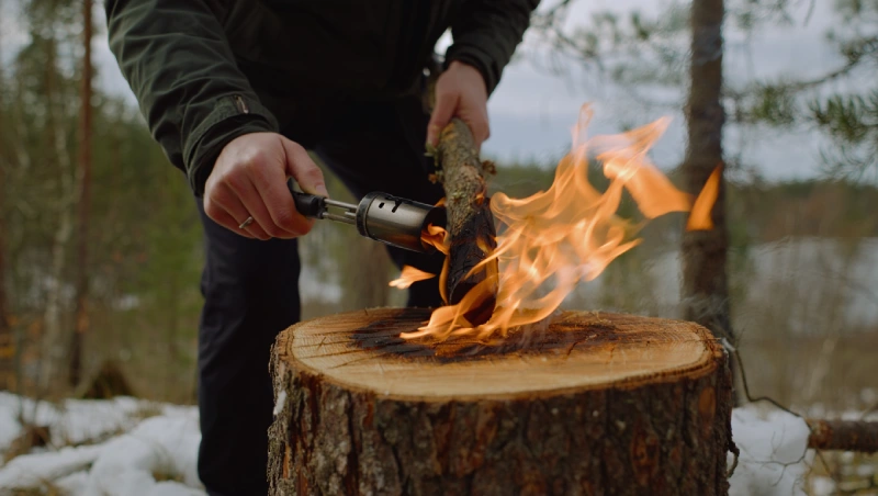tuer racines arbre coupe feu