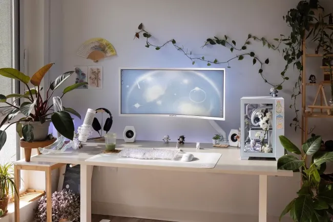 creer un bureau cocooning plantes