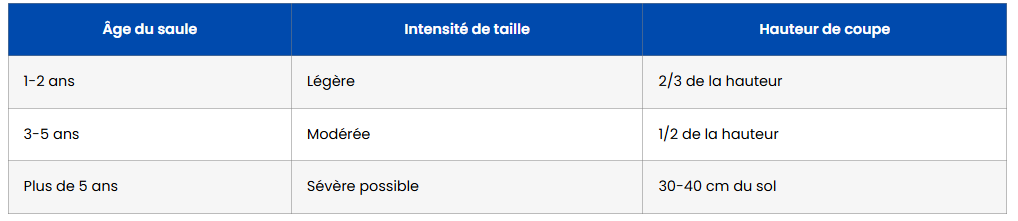 quand tailler saule crevette tableau