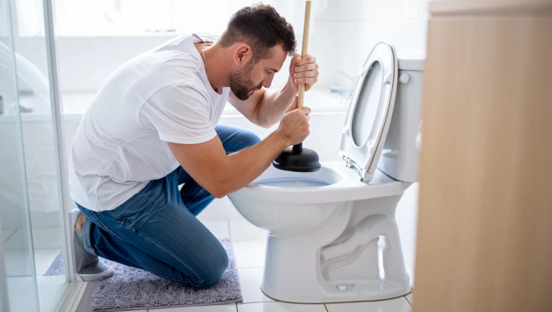 solution deboucher wc mecanique