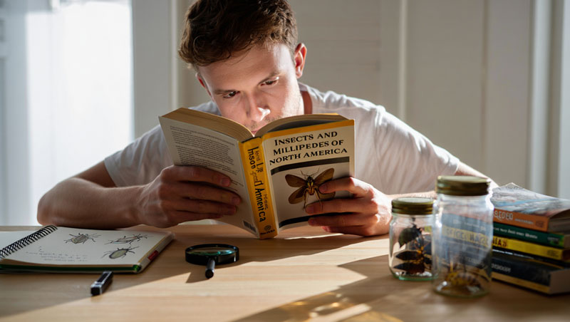 mille pattes dans maison signification spirituelle