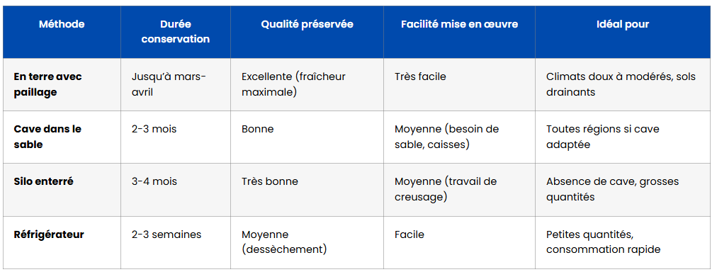 peut on laisser betteraves rouges en terre comparatif methode conservation