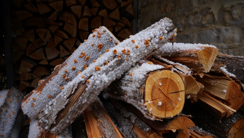 merule bois chauffage solutions simples