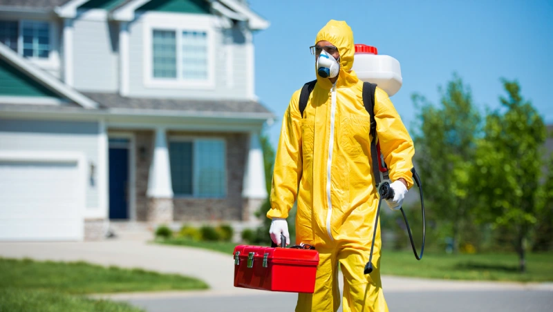 deratiseur professionnel