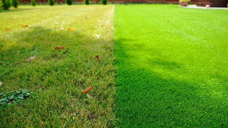 gazon naturel vs gazon synthetique conseil jardinier 1