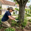 Rejets d'arbre : comment les faire crever définitivement