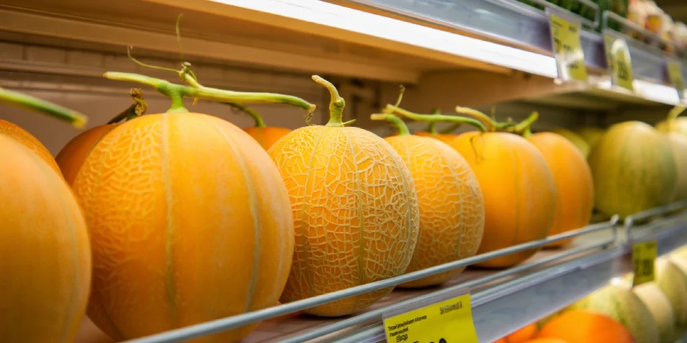 comment-savoir-melon-mur