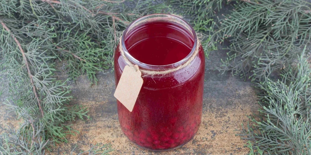 conseils-pratiques-pour-embellir-votre-espace-vert-avec-soin-et-creativite