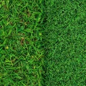 gazon-naturel-vs-gazon-synthetique-conseil-jardinier