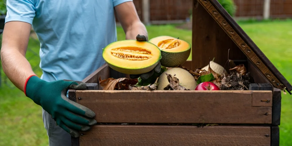 melon-compost