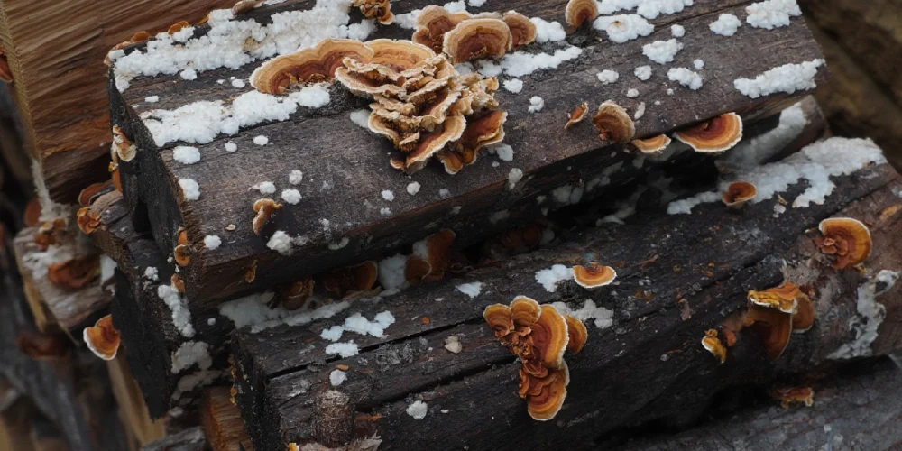 merule-bois-chauffage-solutions