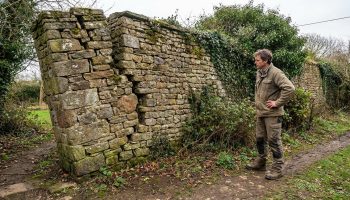 Un homme en tenue de travail inspecte un vieux mur en pierre visiblement penché et fissuré, envahi par la végétation.