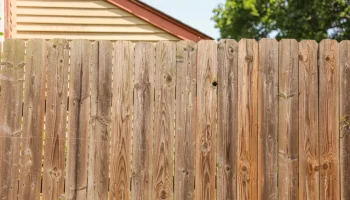 panneau-de-jardin-en-bois-une-solution-elegante-pour-structurer-vos-espaces-exterieurs