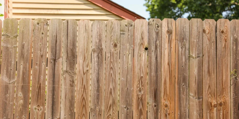panneau-de-jardin-en-bois-une-solution-elegante-pour-structurer-vos-espaces-exterieurs