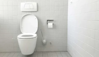 quel-produit-pour-enlever-le-tartre-dans-les-wc