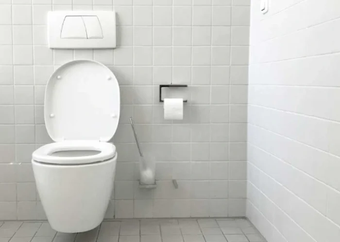quel-produit-pour-enlever-le-tartre-dans-les-wc